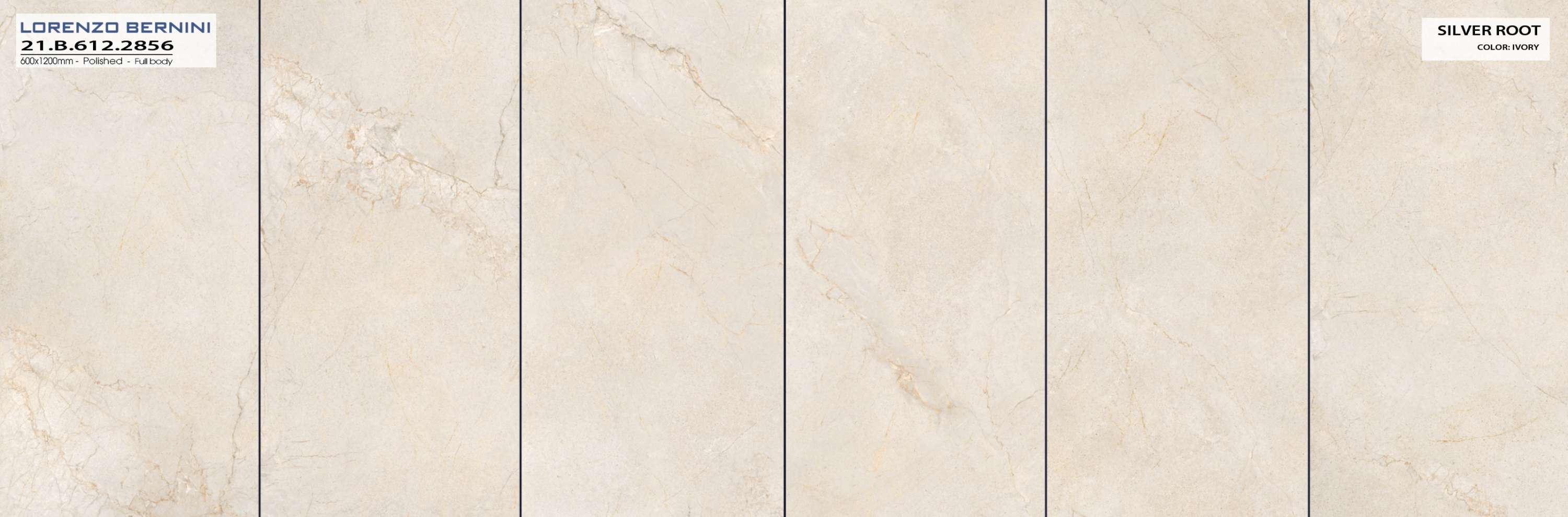 Á Mỹ Bình Dương