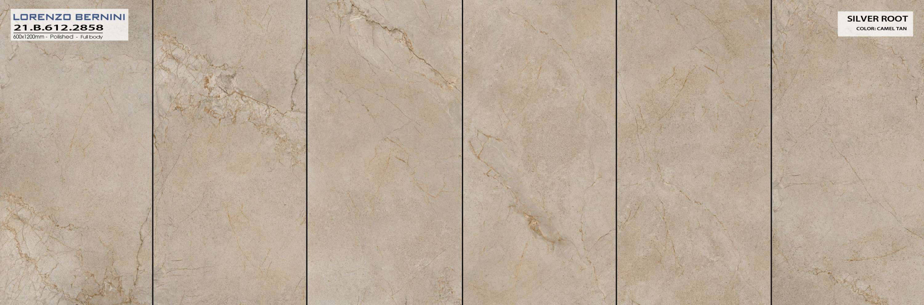 Á Mỹ Bình Dương