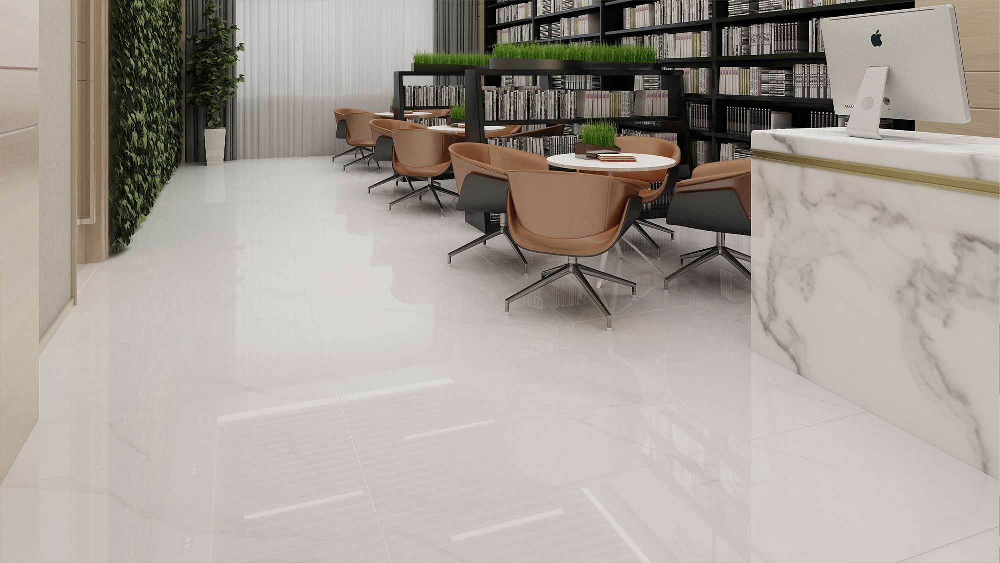 Á Mỹ Bình Dương